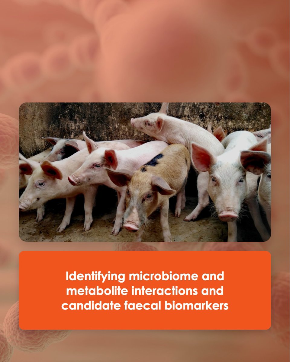 data_omics's tweet photo. Multi-omics revealed candidate faecal biomarkers of prolonged stress in pigs, with potential for welfare monitoring.
https://t.co/qWrjp1JML5…
#multiomics #animalhealth #animalwelfare #dataomics https://t.co/BqtqFaaEs4