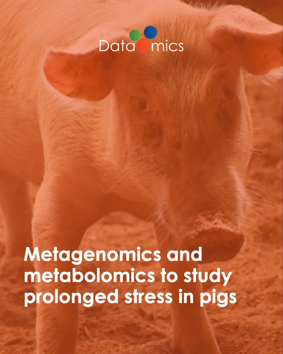 data_omics's tweet photo. Multi-omics revealed candidate faecal biomarkers of prolonged stress in pigs, with potential for welfare monitoring.
https://t.co/qWrjp1JML5…
#multiomics #animalhealth #animalwelfare #dataomics https://t.co/BqtqFaaEs4
