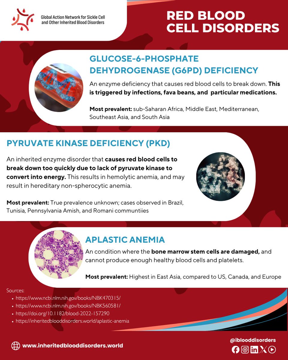 IBloodDisorders's tweet photo. Explore our infographic to learn about WIBDs and where they're found worldwide!

Register for the special WIBD webinar:
https://t.co/MLtnOO5izR

Access our FREE #WIBD Toolkit: https://t.co/oQWs4AZroB

#WIBDMonth #InheritedBloodDisorder #SickleCellDisease #Thalassemia #Hemophilia https://t.co/udfYxZgngY