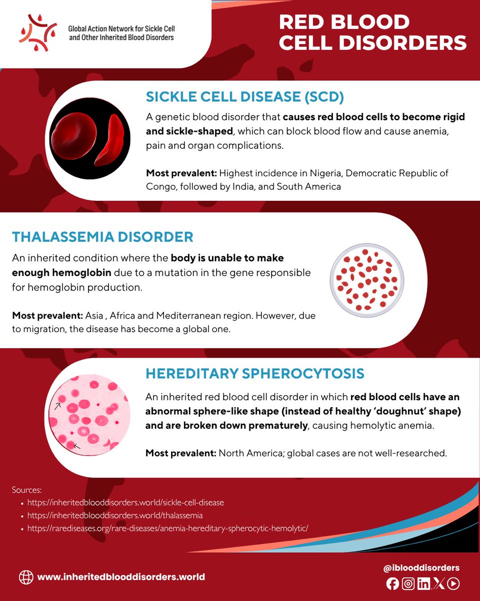 IBloodDisorders's tweet photo. Explore our infographic to learn about WIBDs and where they're found worldwide!

Register for the special WIBD webinar:
https://t.co/MLtnOO5izR

Access our FREE #WIBD Toolkit: https://t.co/oQWs4AZroB

#WIBDMonth #InheritedBloodDisorder #SickleCellDisease #Thalassemia #Hemophilia https://t.co/udfYxZgngY