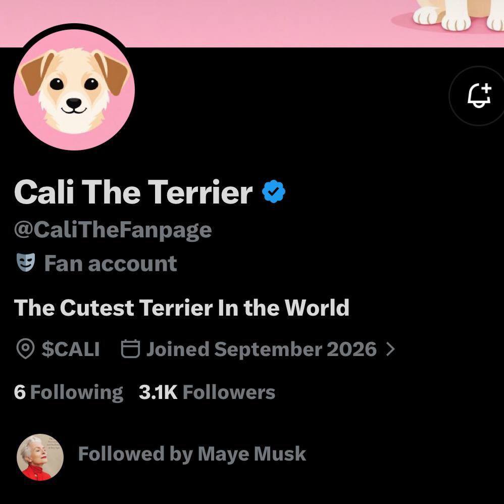 MconCrypto's tweet photo. Maye Musk, Elon Musk’s mother, is now following her dog’s official memecoin, $CALI, on X. 🐕🔥

First it was Elon Musk and $PEPE.

Now Maye Musk and $CALI?

The Musk family’s connection to memecoins is getting very interesting. 👀 🚀 https://t.co/PGO8WZvROA