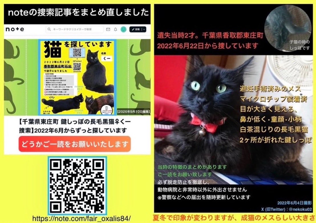 迷子猫】千葉県葉県香取郡で愛猫が行方不明