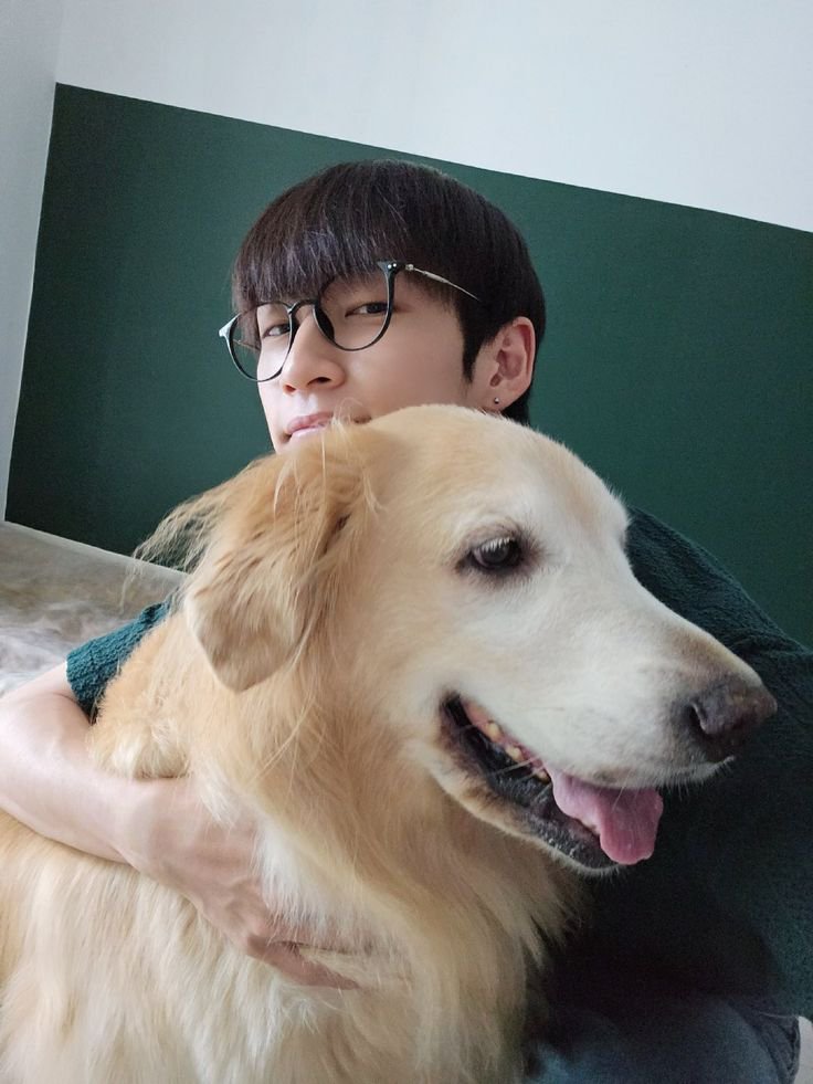 hangyeomint's tweet photo. thanks to taedong, we got to know a very beloved dog named bori. today, he has become a star in the sky, and I hope he knows he was deeply loved. my condolences to taedong and his family.

rest in peace, bori. ⭐️ https://t.co/8pJSeHpczl