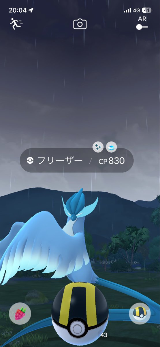 Pokemoon108's tweet photo. おんなじ日にお散歩おこうでガラルフリーザー2回出てびっくり、通常色には当たり前に逃げられました。 https://t.co/OwK2i64yii