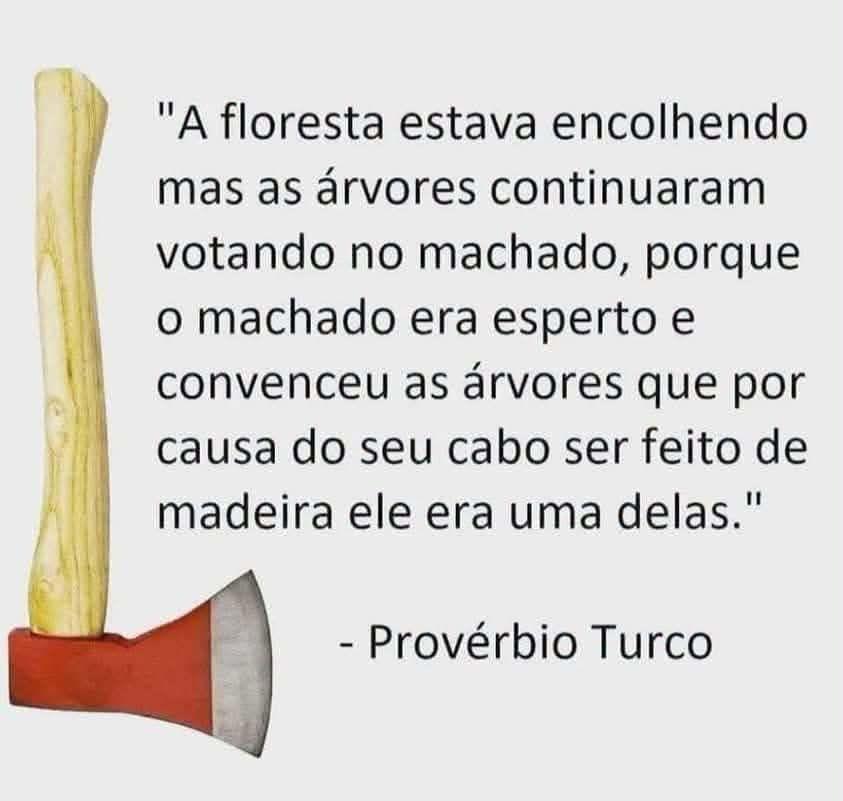 jumoril1962's tweet photo. @ThiagoResiste Os eleitores do Tariflávio, traidor da pátria, são exatamente como as árvores dessa floresta.
Isso prova a degradação da mente humana e a sua evidente perda da capacidade cognitiva e de discernimento. https://t.co/oB00YdrkdO