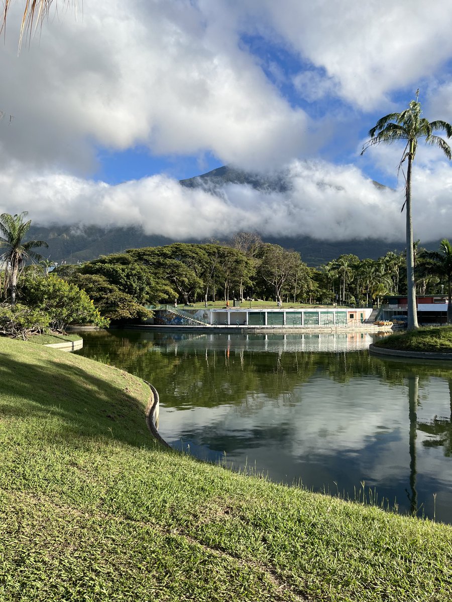 escovargabriela's tweet photo. Soñé con un Parque del Este como lo merecemos pero me topé con la realidad, vigilancia, amenazas físicas y ayer una sucia campaña en mi contra. 

Esta prohibido querer un país bonito, donde se protege la naturaleza, y donde se cuiden los espacios públicos.#UnaMiradaAlParque https://t.co/eF6iX9Zyed