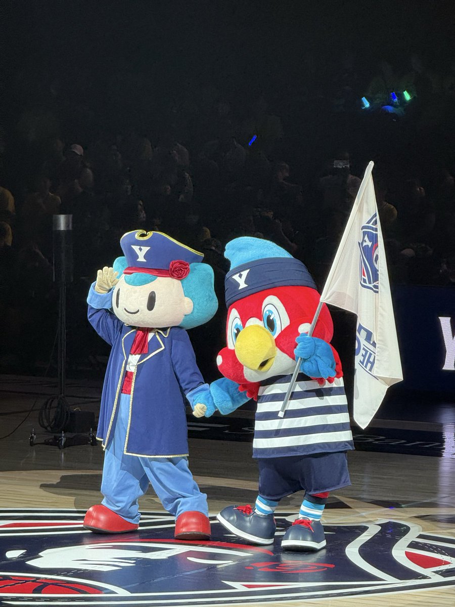 hiro526fp's tweet photo. ホーム開幕🎉
vs 信州ブレイブウォリアーズ  DAY 1 https://t.co/Yti07iYE2O