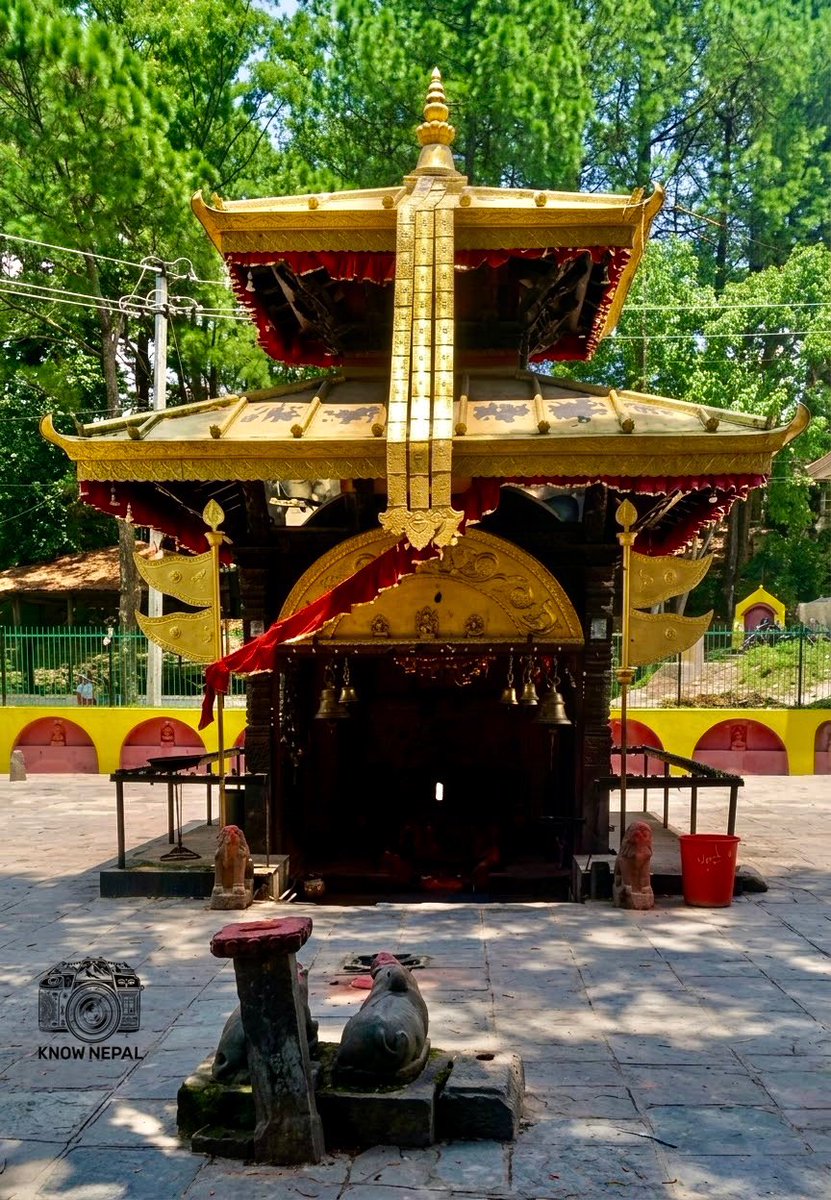 SangamNepal77's tweet photo. "रुद्रमती नदीको किनार र सल्लोको हरियाली बिच अवस्थित भङ्गालको सुन्दर रुद्रेश्वर महादेव मन्दिर!"
सुनौलो प्यागोडा छाना, नन्दीको भक्ति र शान्त वातावरण! भगवान् रुद्रेश्वर महादेवको दर्शन गरी मनमा शान्ति र सकारात्मक ऊर्जा प्राप्त गरौँ।
ॐ नमः शिवाय! 🙏❤️️
#KnowNepal https://t.co/aoqW1aaWdG