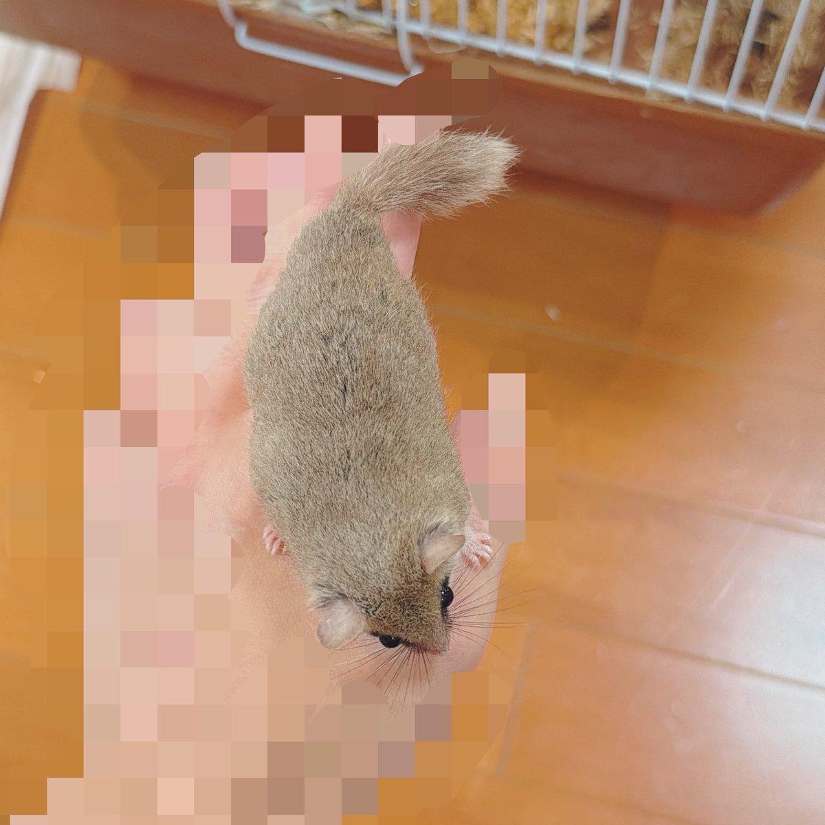 buri___chan tweet picture