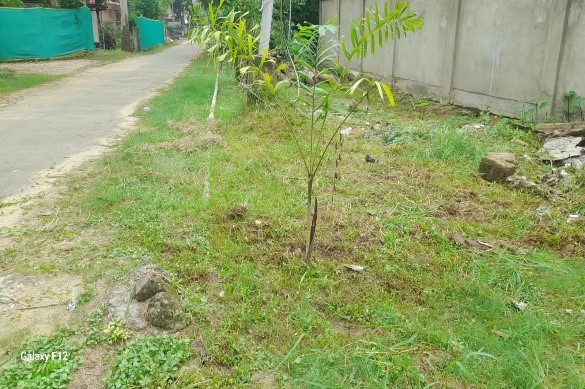 173Bn's tweet photo. #SpecialCompaign6
A cleanliness drive conducted at F/Coy 173BN CRPF Power Grid Dimapur, Nagaland.
@crpfindia 
@HMOIndia 
@PIBHomeAffairs 
 @PMOIndia 
@DARPG_GoI https://t.co/ogS7PyzWW8