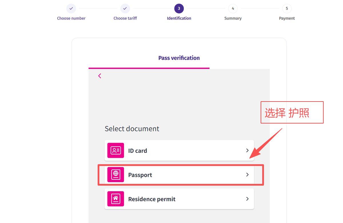 选择护照类型