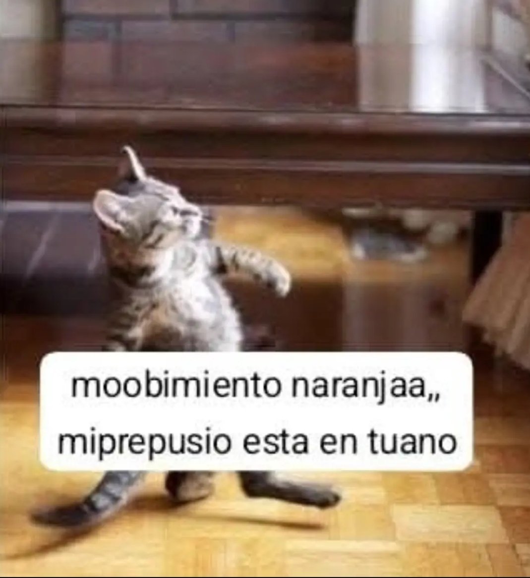 xdinoxmoonx's tweet photo. KAKAKSKSKSKSL https://t.co/cMagU8emdN