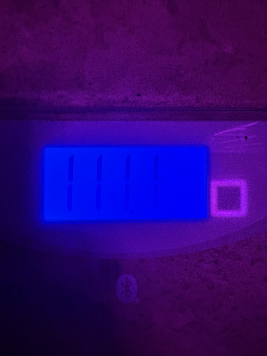 fuckingdooomed's tweet photo. euphoria ass scale pic but angel numbers happy even tho i gained https://t.co/ahGjPVZgci