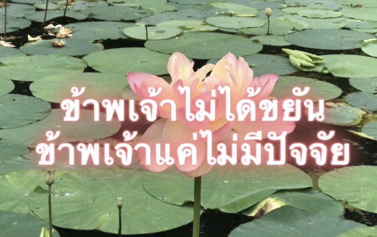 sundaeloner's tweet photo. ข้าพเจ้าอยากทำงานหรือนี่ https://t.co/9So0vNQpQs