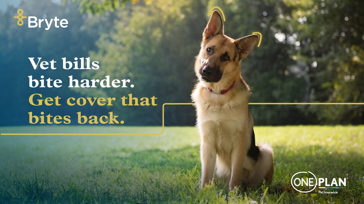 BryteInsurance's tweet photo. Vet bills don’t give warning shots. Our partner @OneplanPet makes pet cover simple — sorted before your dog’s next questionable decision.

https://t.co/IZfj68VTt7

#PetInsurance #Oneplan

*Terms, conditions, and exclusions apply. https://t.co/U5DB4ml2hn