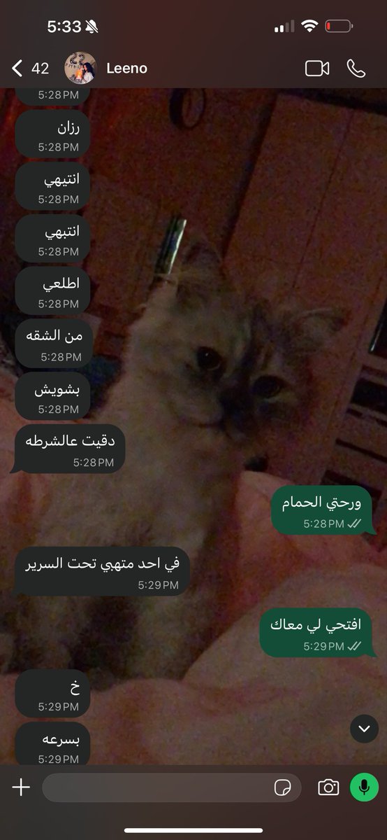 _SilverMuse's tweet photo. عاد انا صدقت مدري عنكم https://t.co/P0rgj2lk8x