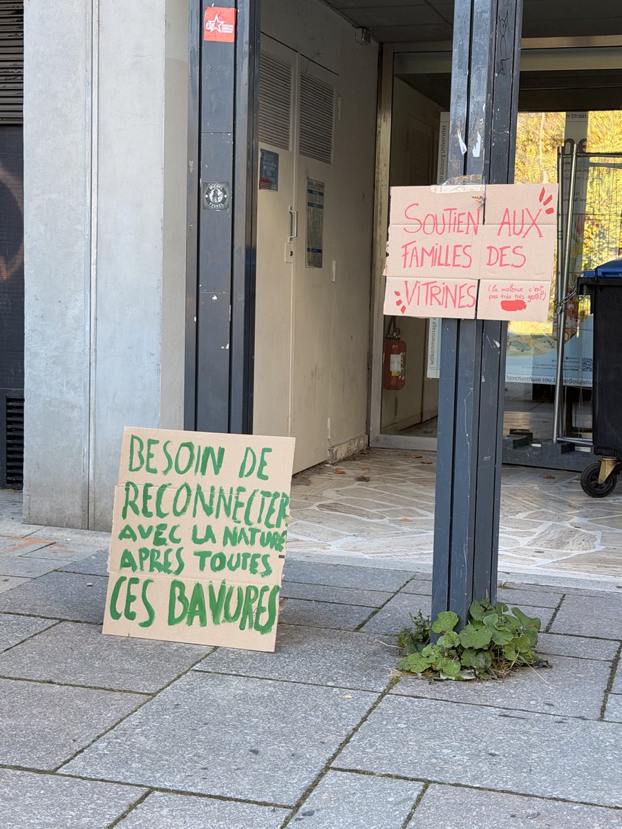veiledpeony's tweet photo. c’est le blocus qui le dit pas moi https://t.co/Df3zAknIWJ