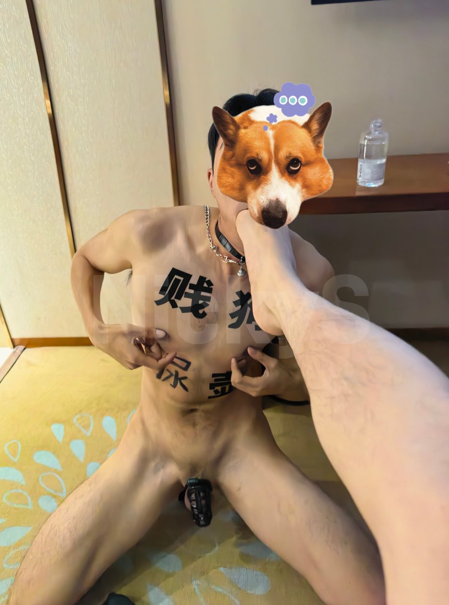 NickyS19963's tweet photo. 【无🧠gooner】小网红私下确是带锁的无脑母狗。被主人命令到酒店走廊爬行打滚，还被改造成小便池。
@NickyS19964 https://t.co/EqY0rjlfOM
