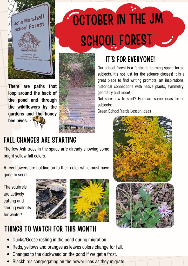 JMHSRockets's tweet photo. Do you know that JM has a designated School Forest...small, lovely &amp; full of beautiful things! Check out the October update. https://t.co/a0USkDTP4W