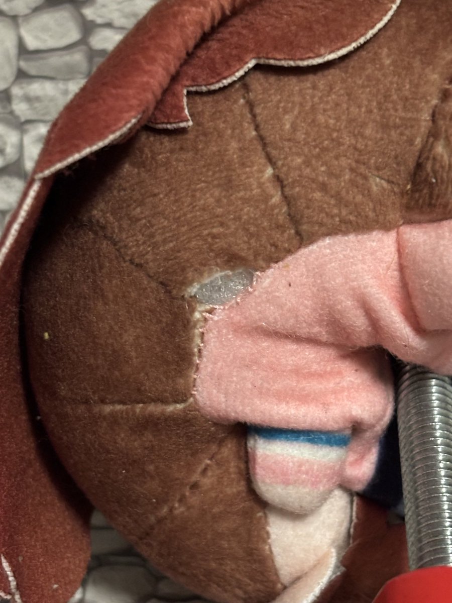 NIWACA_Plus's tweet photo. 遊びすぎて破れてきた https://t.co/mRsGC3bx6d