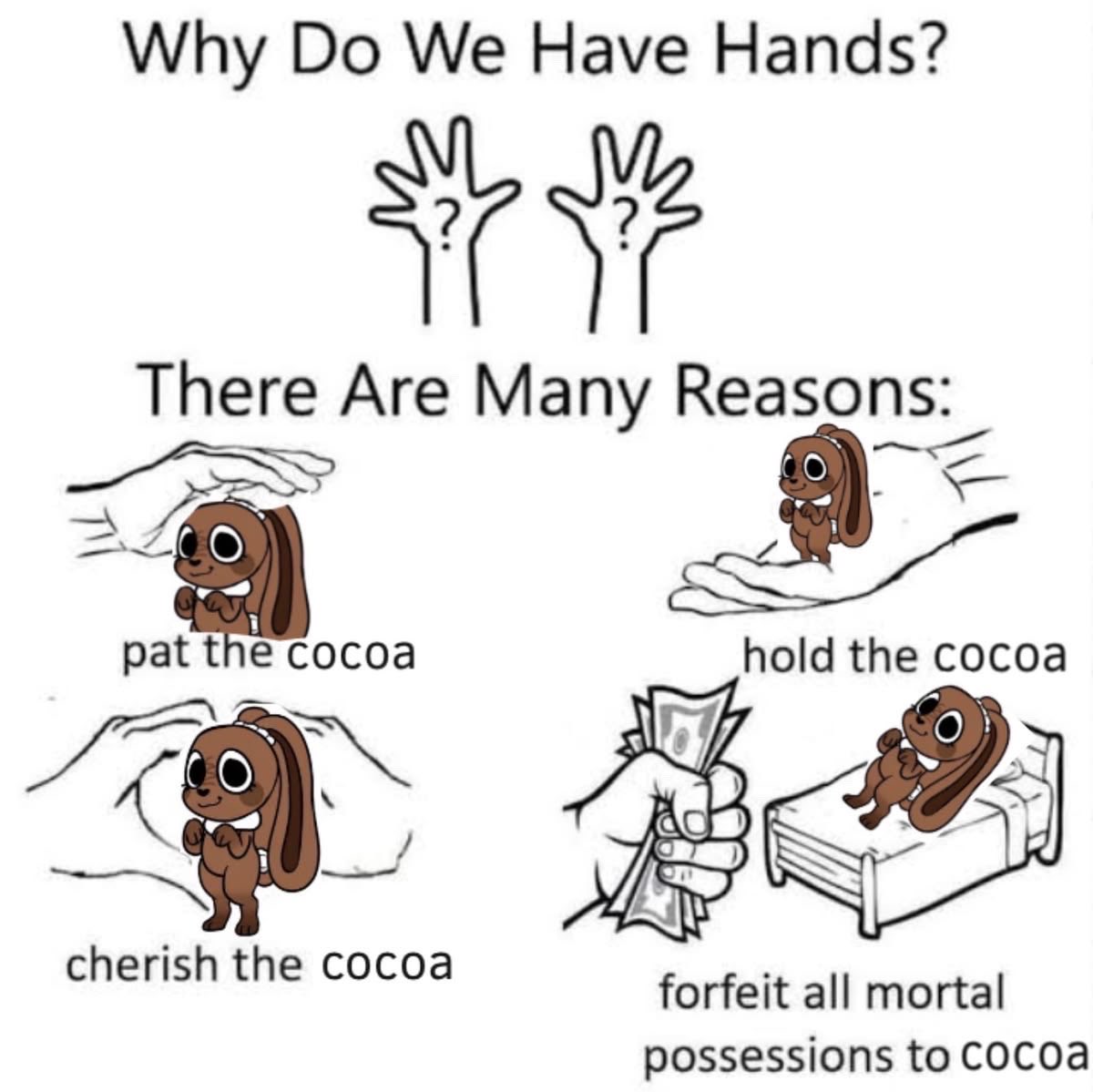 chocbunbuncocoa's tweet photo. https://t.co/e9IjOHukhq