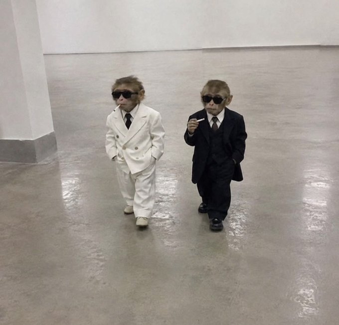 Two small monkeys dressed in sharp suits—one in white, the other in black—walk confidently across a polished floor wearing sunglasses and holding cigarettes, exuding a "boss" demeanor. The image humorously symbolizes the post's theme of graduates thriving and leveling up to "boss" status after paying their dues and changing their lives, careers, or brands.