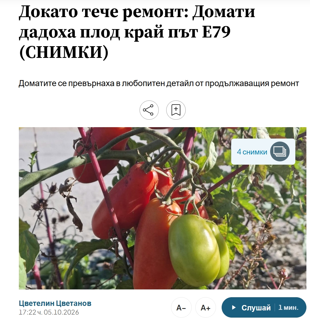 CesnoKazano's tweet photo. Според вас новините на bTV, Нова и БНТ съобщиха ли за помилвания наркотрафикант на смъртно легло, който се бие като нинджа в Понеделник, Сряда ляга да мре за да може Йотова да го помилва, а уикенда ходи да танцува на бал? 

Не. Нито една. Нищо. 
Но пък имаше топ новина от bTV..🤮 https://t.co/NbXSKOgRFi