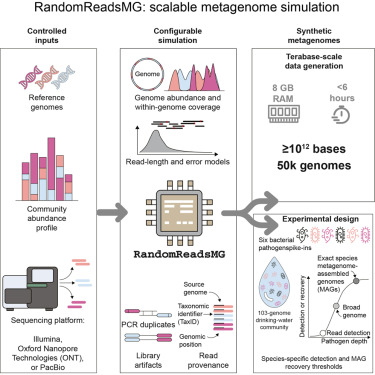 CellGenomics's tweet photo. RandomReadsMG: Rapid, realistic metagenome simulation at terabase scale for benchmarking and experimental design dlvr.​it/TVnMzG https://t.co/vcXkduymAu
