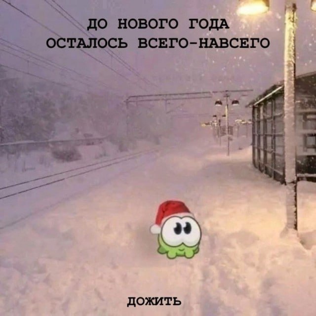ptnhlo4vr's tweet photo. доживём! https://t.co/ggTjfuIKOh