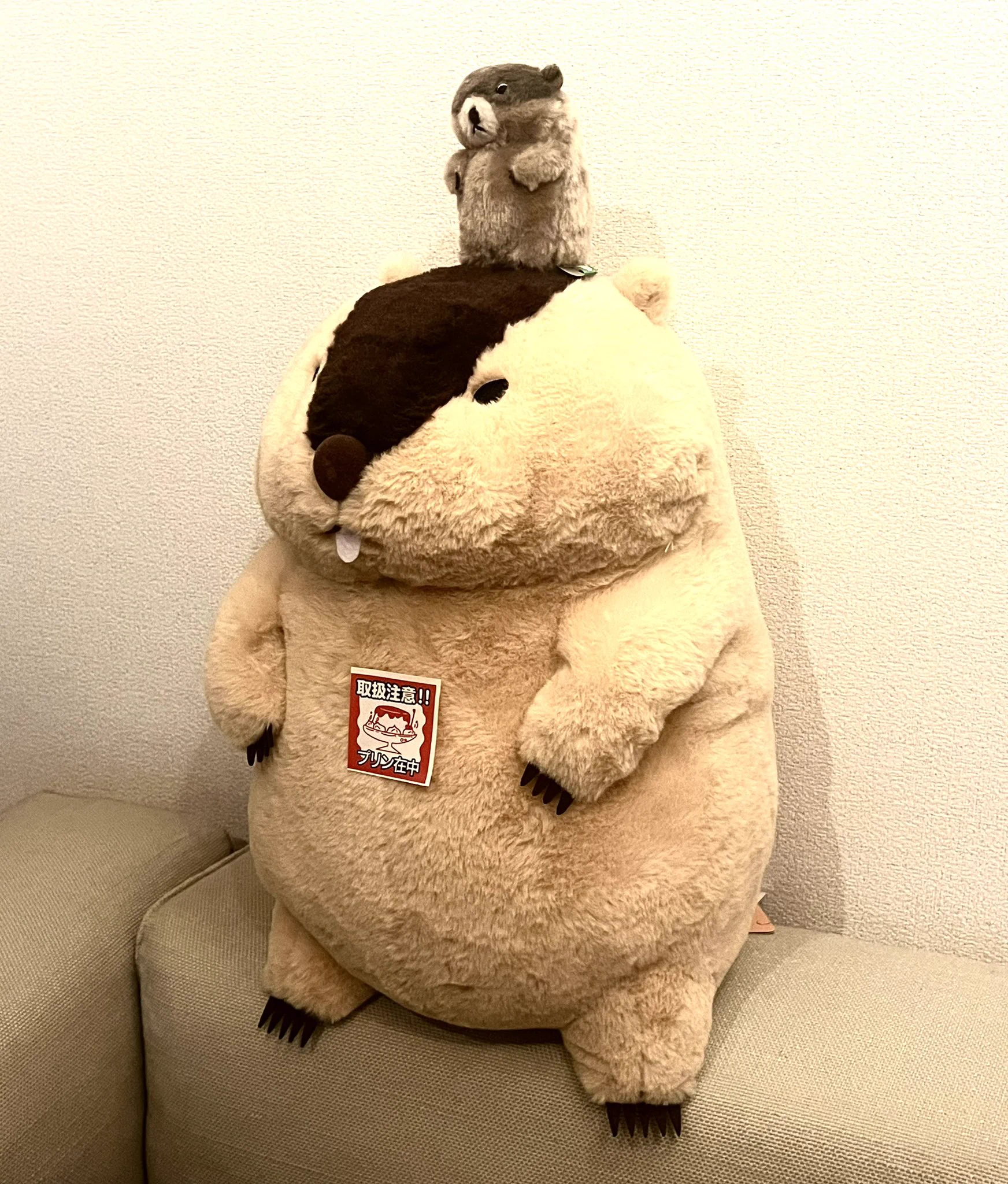 マーモット中毒 (@marmot_addict) / X