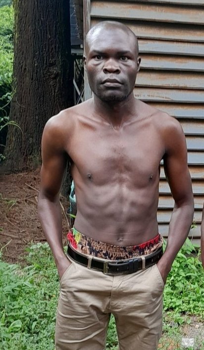 Entr_dawood's tweet photo. Kenyans bodybuilder.  Vs.   South African bodybuilder https://t.co/mF3JtWsx6w