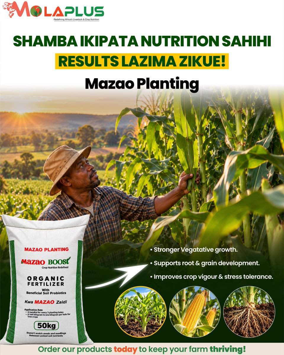 MolaplusM's tweet photo. Good seed can’t do all the work alone. MolaPlus Mazao Boost Planting supports root development, crop vigour, nutrient availability &amp; grain development with organic nutrition and beneficial soil probiotics.
#MazaoBoost #MaizeFarmingKenya #SoilHealth #MolaPlus https://t.co/K0QWQZC2yG