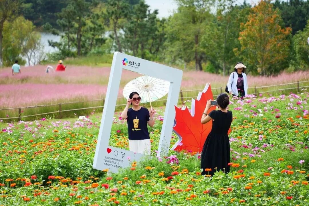 lmtesla's tweet photo. 秋风赴约，青岛西海岸张家楼街道花语人间的金秋赏花季如期而至。9月19日开园，9月底进入观赏期，一直持续到12月初。 https://t.co/EYxWao0ThQ