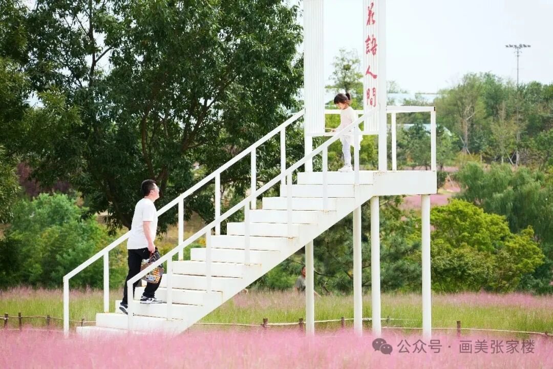 lmtesla's tweet photo. 秋风赴约，青岛西海岸张家楼街道花语人间的金秋赏花季如期而至。9月19日开园，9月底进入观赏期，一直持续到12月初。 https://t.co/EYxWao0ThQ