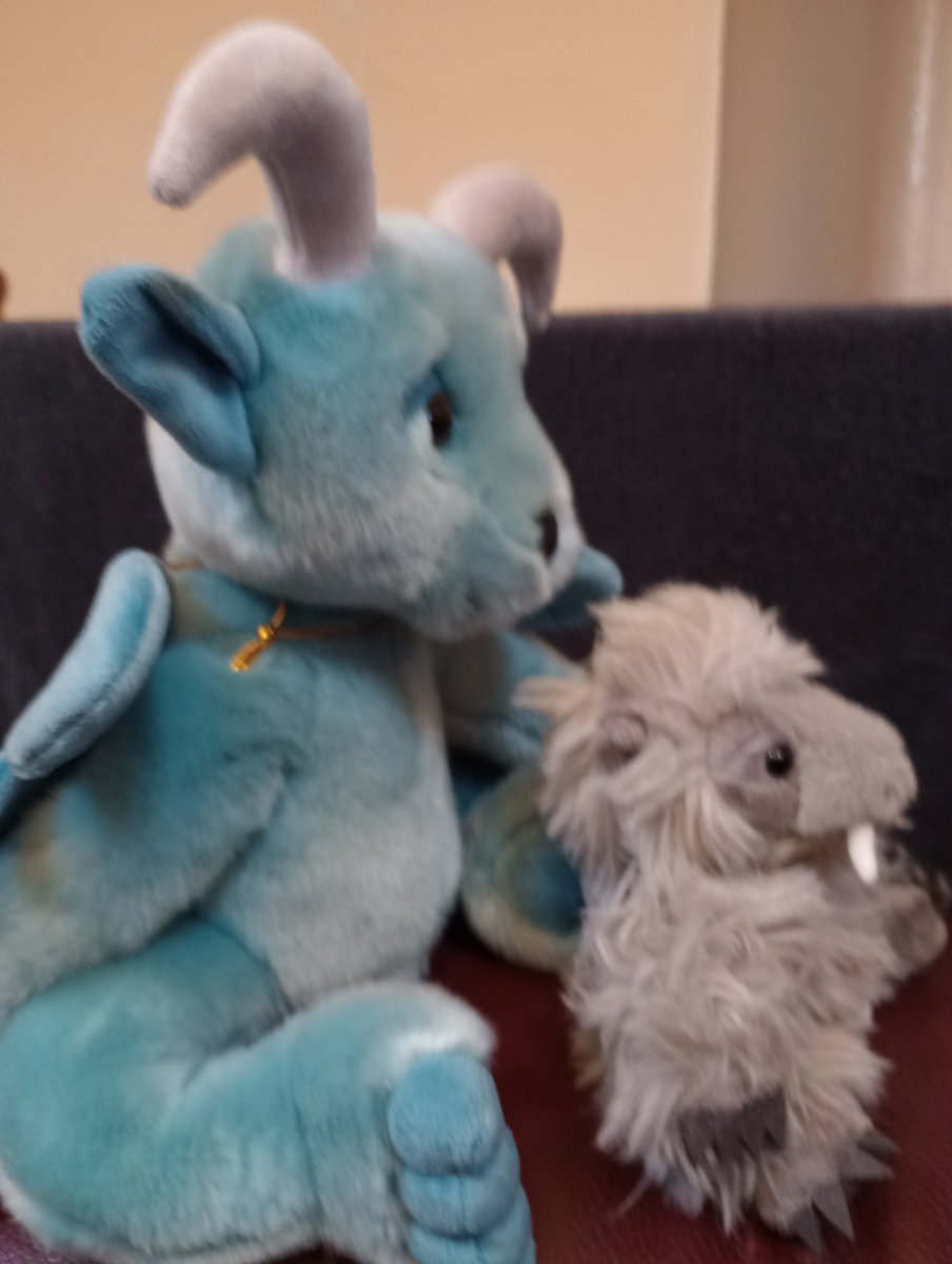 CricketNut2005's tweet photo. @keepfits Warming themselves up for their #keepfits on a Monday Shawn 🩵🐾🐾 &amp; penn 🩶🐾🐾👍👍 https://t.co/iLRITsplx7
