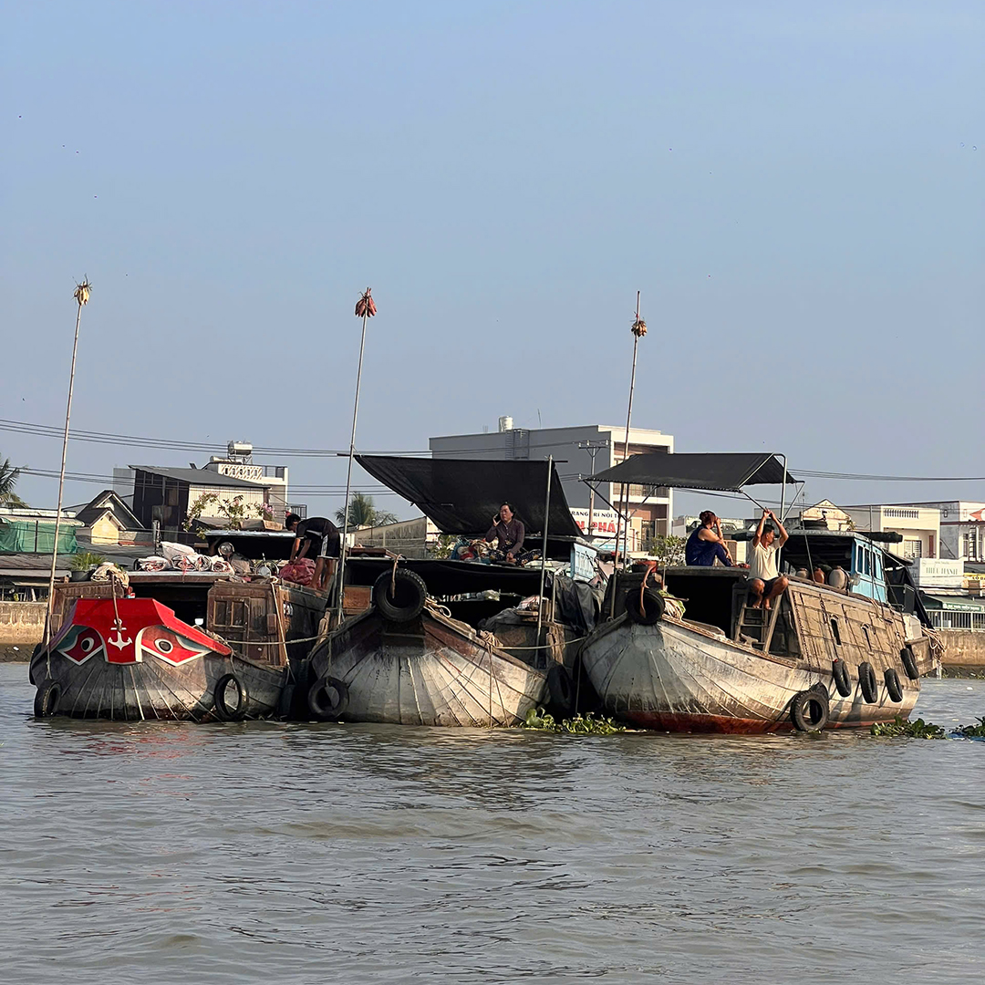 brunaadrianas's tweet photo. 14 days from Hoi An to Ho Chi Minh City. Ride the historic Ho Chi Minh Trail, explore the Central Highlands, and finish in the Mekong Delta. See a side of Vietnam most travelers miss. DM us to plan your trip. https://t.co/Amy4IXfe22