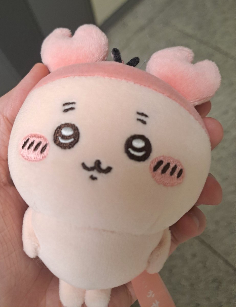 DANNA_4ma's tweet photo. 보송보송허이 만지는 느낌은 실헙니다 https://t.co/GXQLzsM9a5