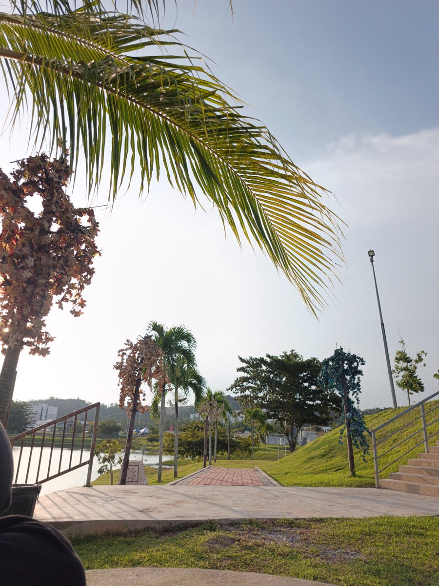 tawkactive's tweet photo. the only part i like abt this uni (walking 🚶) https://t.co/T12BKSQqAr