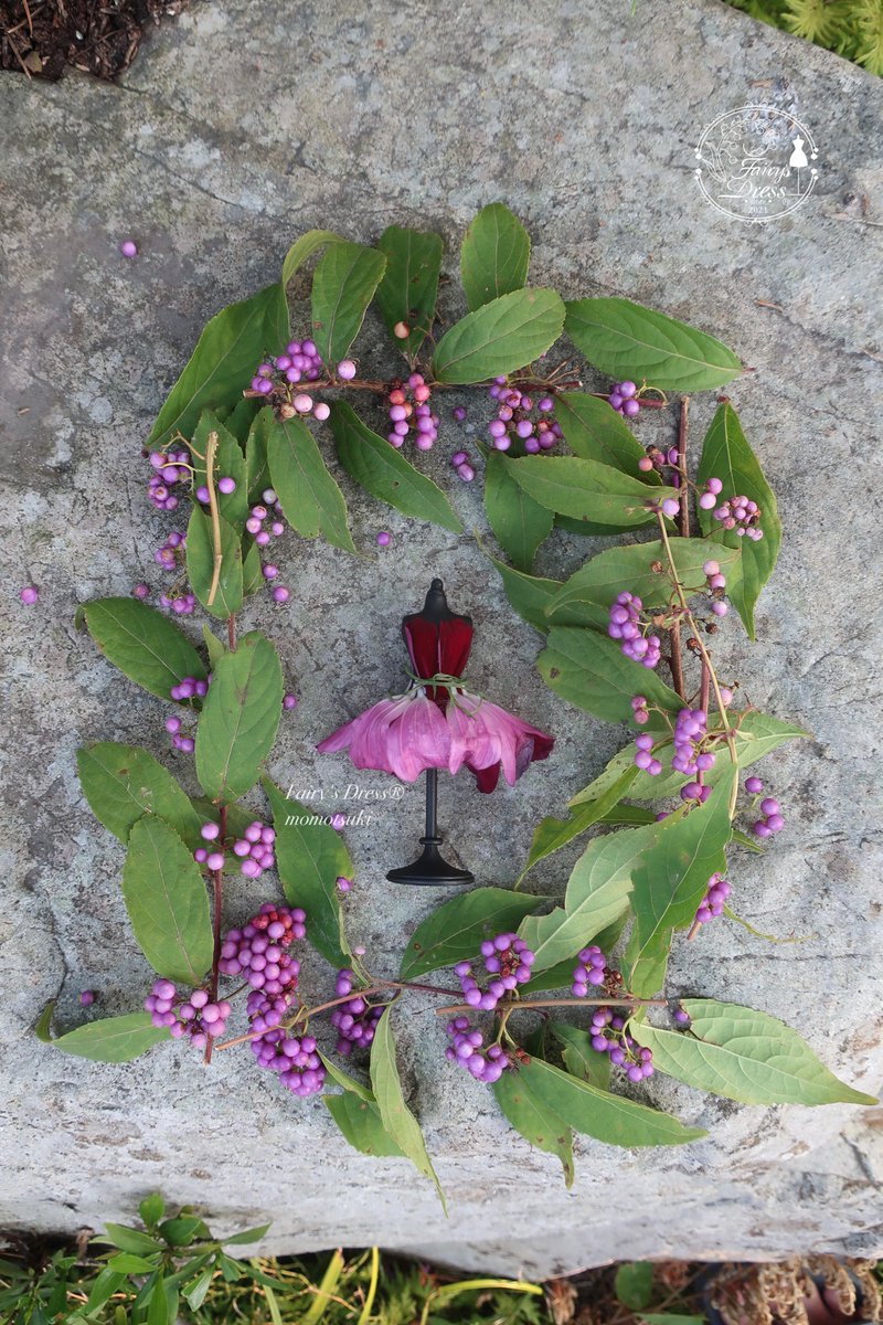Fairys_Dress's tweet photo. 花の香りの調香師、植物の生命の発露、親愛なる妖精の皆様へ

新作をご案内いたします。　#fairysdress
#妖精のドレス

《コスモスのロマンティック・チュチュ》

コスモスのお花の形は、バレリーナが纏うチュチュのようなシルエット。
軽やかに空を舞い、優美に花の上や木の枝の上を歩く皆様が纏うと、そこはまるで秋の物語が展開される舞台のように。

【素材】
コスモス(深みのある美しいマゼンタとボルドーの花びら、秋風に触れた葉っぱ)