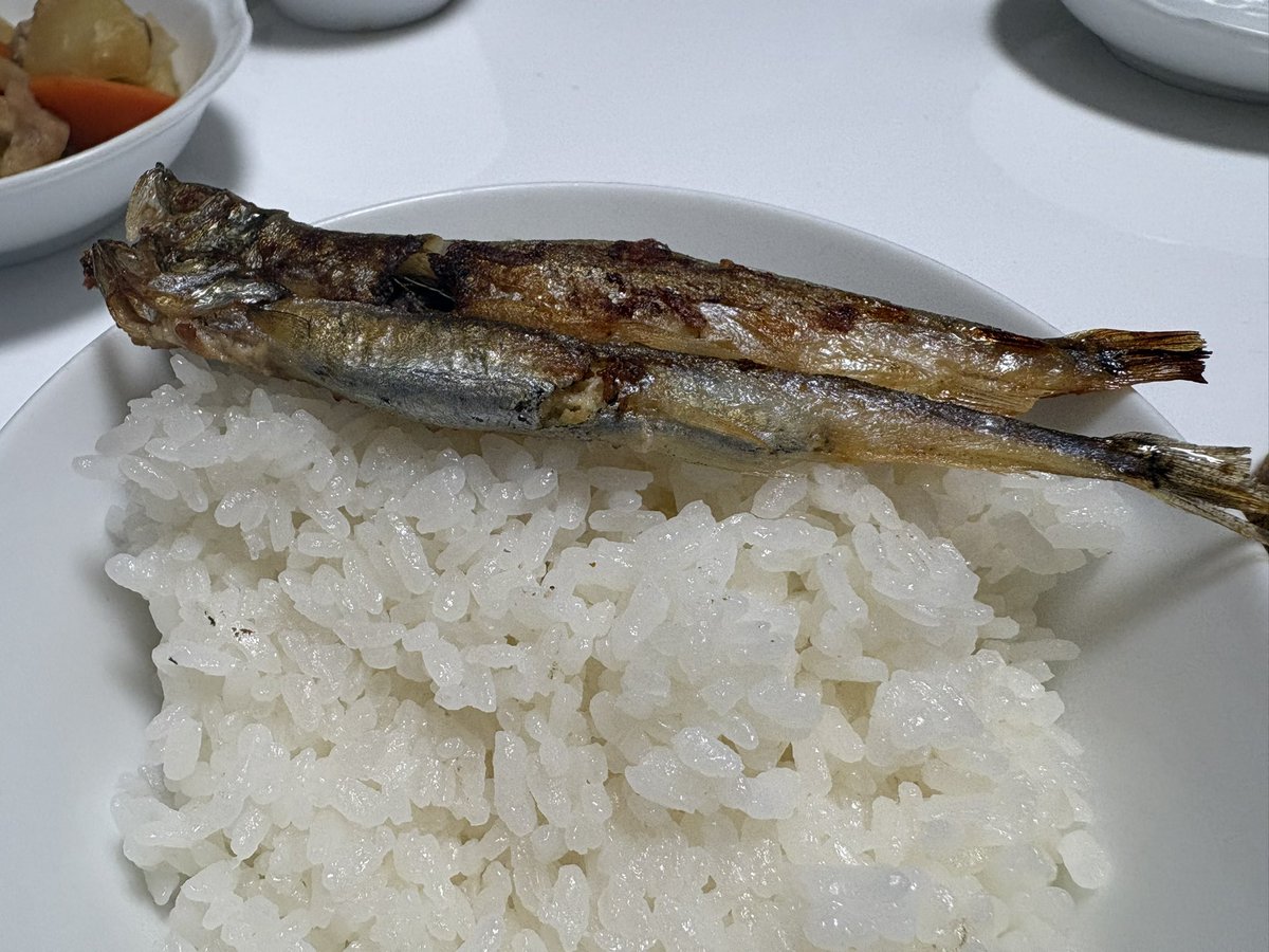 hrksmt's tweet photo. 息子がこれはオス、これはメスってししゃもを見分けながら食べてた。怖いのがオスにも卵入ってるんだよねぇ。最近まで知らなかった。注入されてるの。ごめんねぇ。人間がさぁ。こんなんしてさぁ。ただ久しぶりのししゃもはうまかった。 https://t.co/v3pzWuUzO9