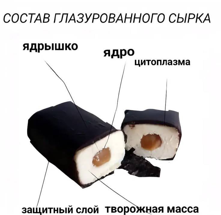 Kot4an's tweet photo. Сырок…люблю сырки https://t.co/F5rOFV0rmb