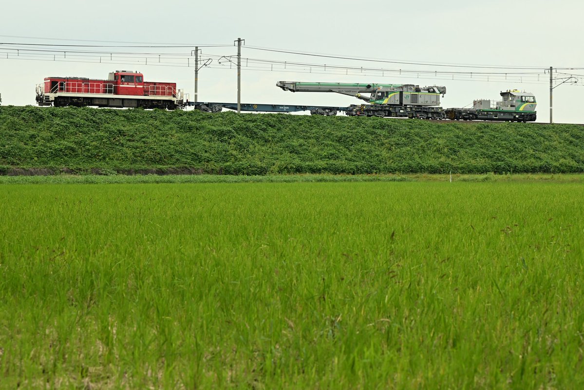 3104_shell's tweet photo. 昨日は、線路際に水稲栽培される炭水化物を中心に
ドイツ製操重車の貴重な昼間の本線ドナドナや
幸せなお医者さんの貴重な線路設備の診察シーンや
一流鉄道会社で戦力外にされた電車達を地方へ
ドナドナする後藤さん撮って鉄分摂取しました📸

この季節は、稲がイーネ🌾

ハイカロリーな一日でしたわ🤤 https://t.co/WK9TTJ6akl