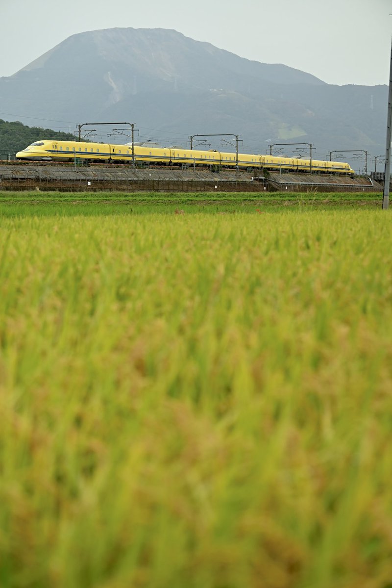 3104_shell's tweet photo. 昨日は、線路際に水稲栽培される炭水化物を中心に
ドイツ製操重車の貴重な昼間の本線ドナドナや
幸せなお医者さんの貴重な線路設備の診察シーンや
一流鉄道会社で戦力外にされた電車達を地方へ
ドナドナする後藤さん撮って鉄分摂取しました📸

この季節は、稲がイーネ🌾

ハイカロリーな一日でしたわ🤤 https://t.co/WK9TTJ6akl