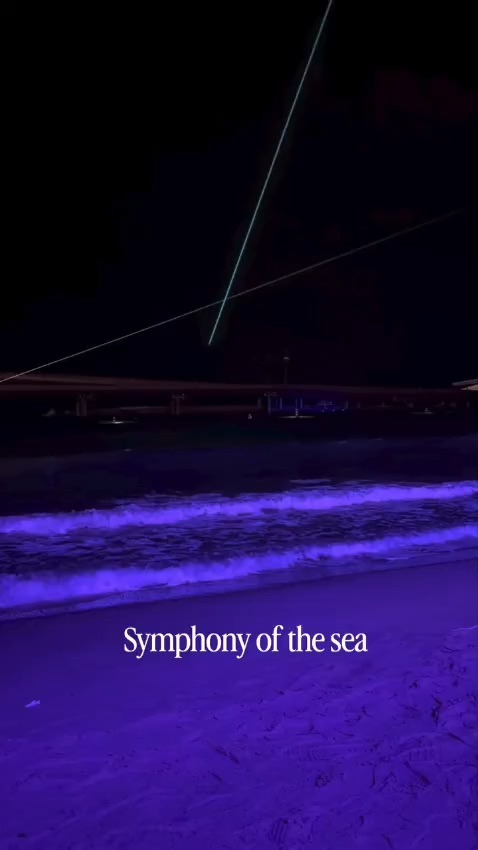 tayfun0606's tweet photo. Where the ocean meets music, lights and magic. Experience Symphony of the Sea in Phu Quoc, where water performances, lights and fireworks create an unforgettable night. A must for your Vietnam bucket list. https://t.co/QhhvvkdtXc