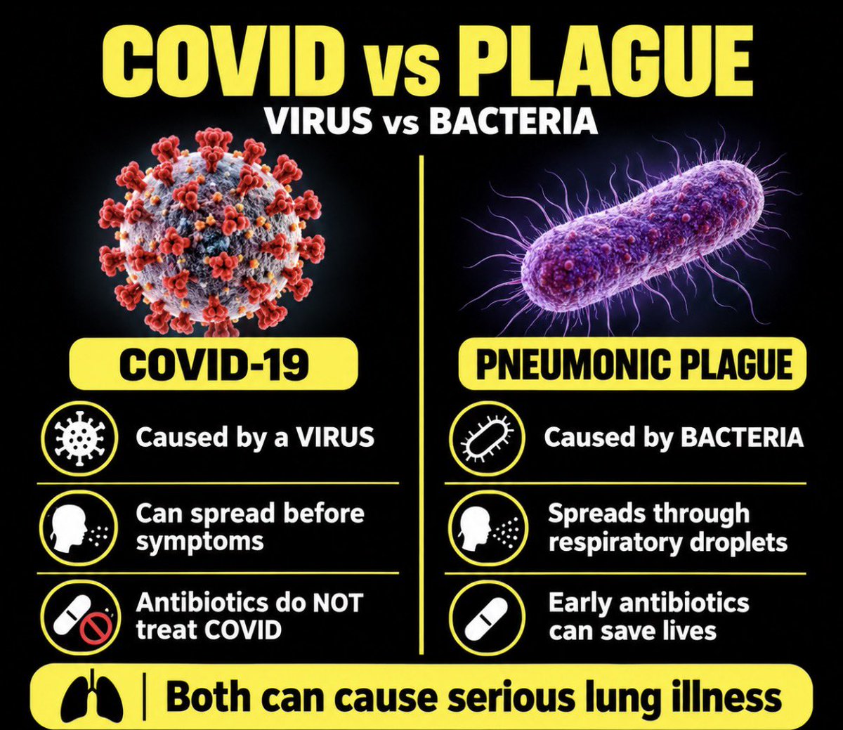 cryptoady's tweet photo. Correction : it’s bacteria not Virus. 

Below is comparison Virus vs Bacteria. https://t.co/mBlZotB1BL