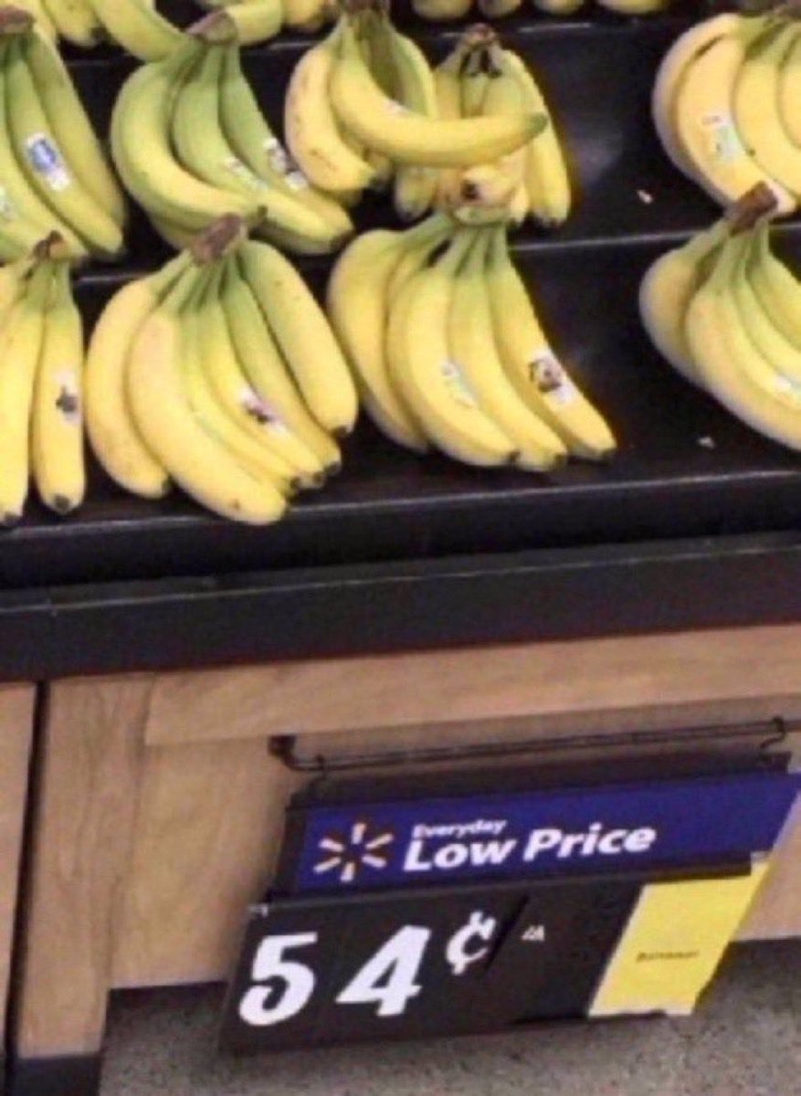 FitClubRicks's tweet photo. Fruit of day Banana 1 med 105 cal, 27g carbs, 3g fiber, 1g Protein, 14g sugar, 1g fat, With 2 protein bars 380 cal,  20g protein 32g carbs. https://t.co/yutLk5H0Li