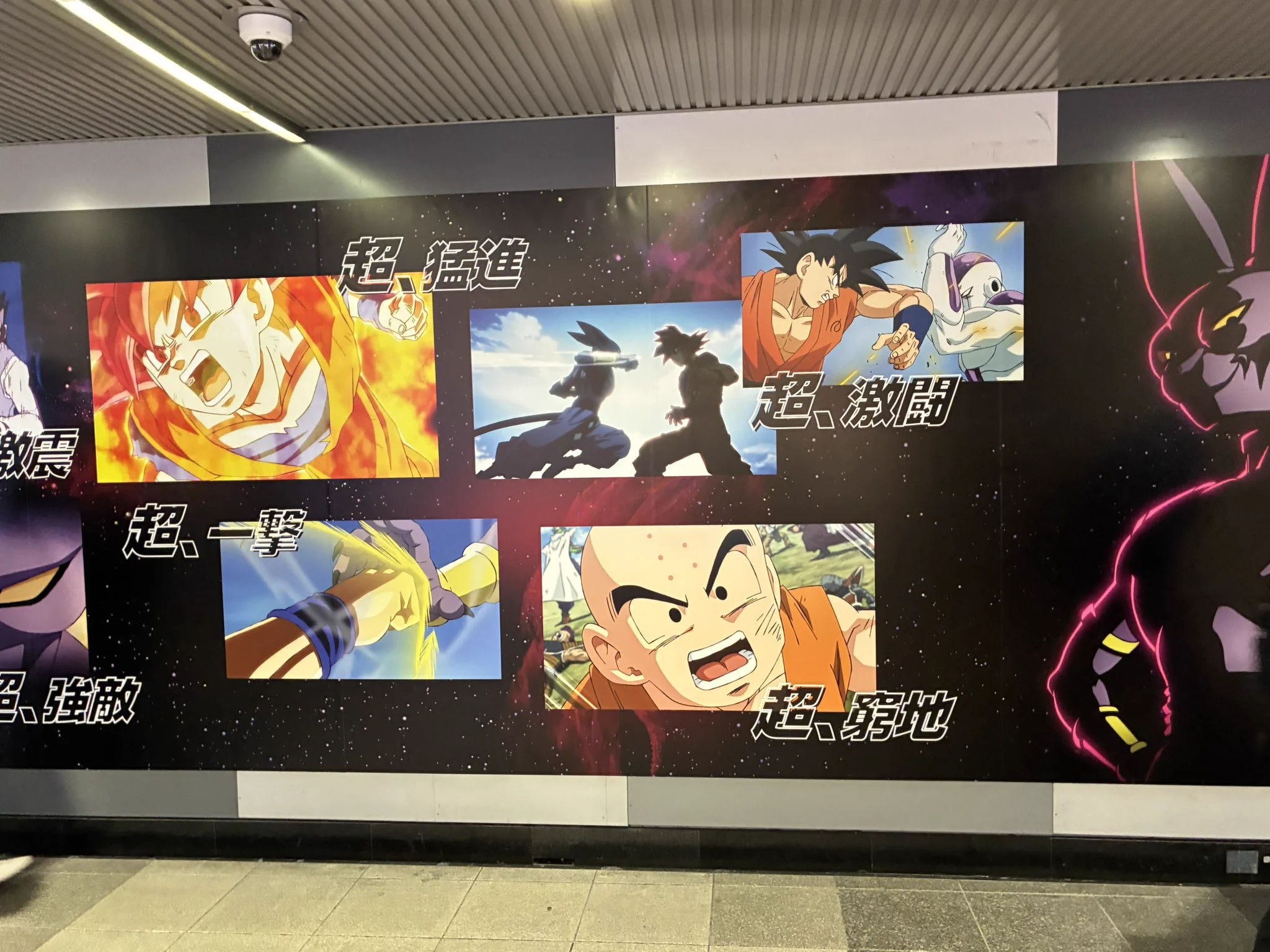 Shamy0525（シャミ）🥐 в X: „#ドラゴンボール超 #ドラゴンボール超