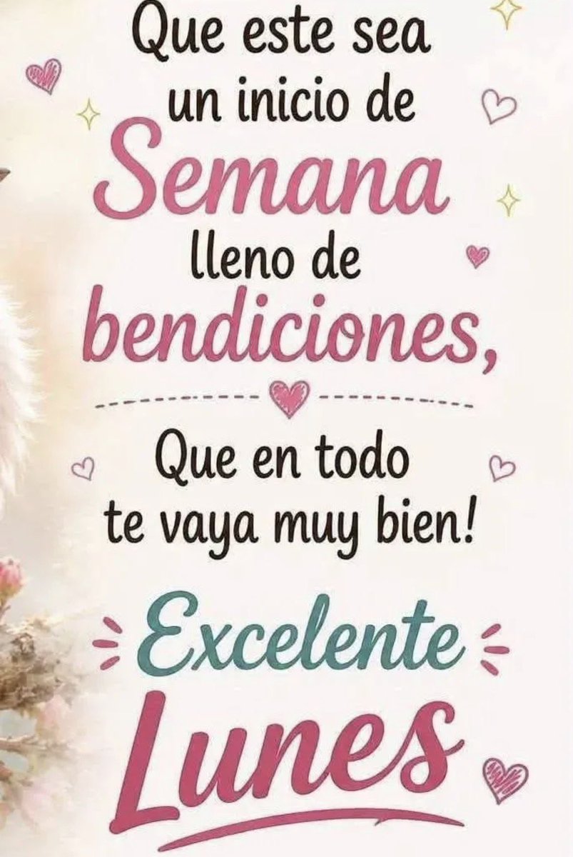 RosaDeLen11's tweet photo. Lindo Lunes🌺 https://t.co/YJLarrj40t