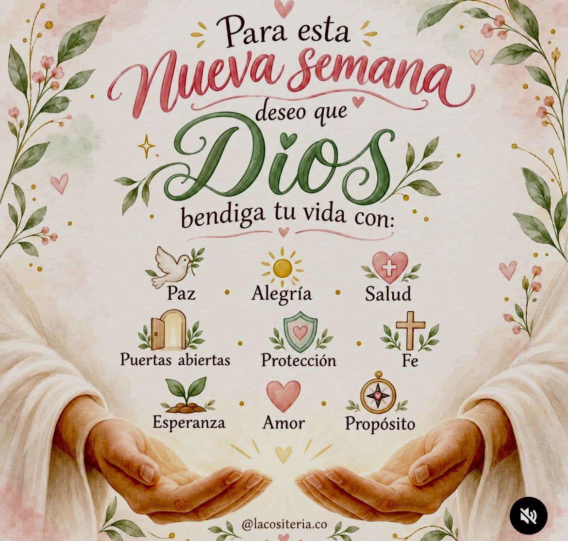 RosaDeLen11's tweet photo. Lindo Lunes🌺 https://t.co/YJLarrj40t