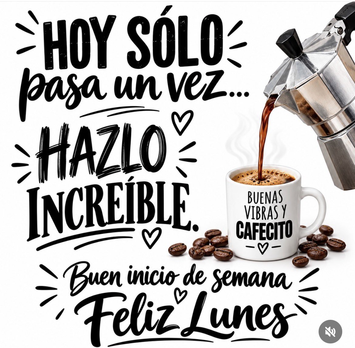 RosaDeLen11's tweet photo. Lindo Lunes🌺 https://t.co/YJLarrj40t